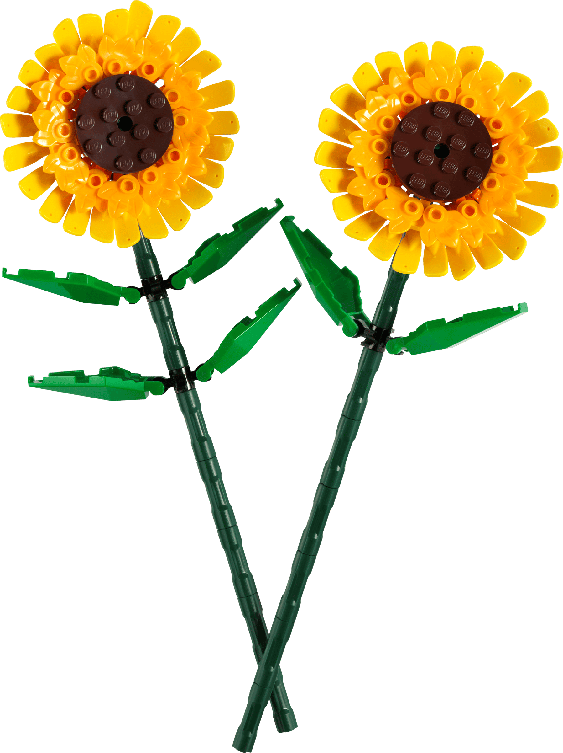 40524 Sunflowers – Box Of Bricks