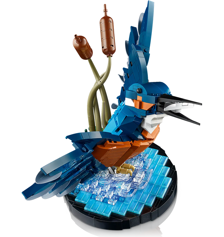 10331 Kingfisher Bird