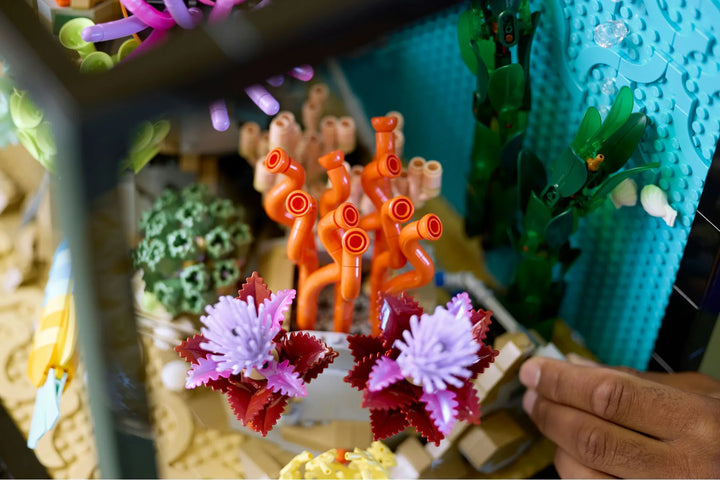 10366 Tropical Aquarium