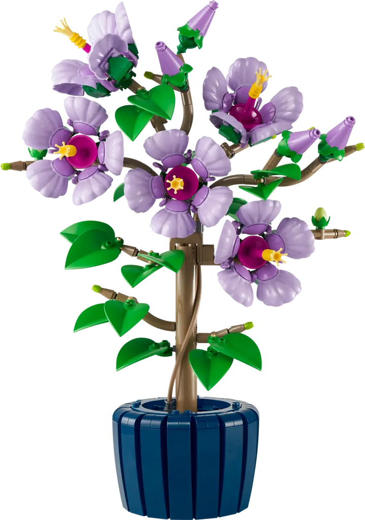 10372 Hibiscus – Box Of Bricks