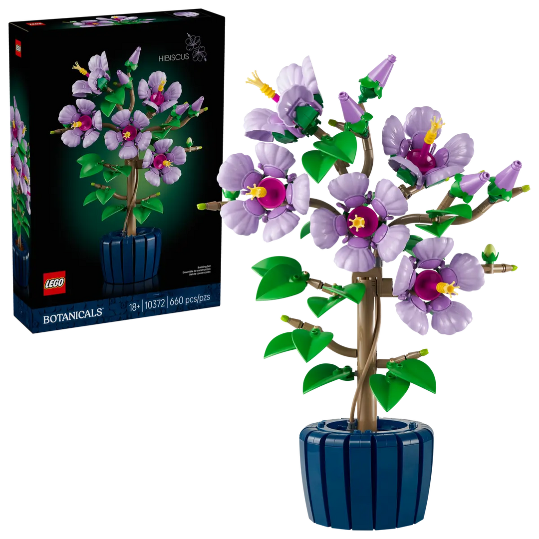 10372 Hibiscus