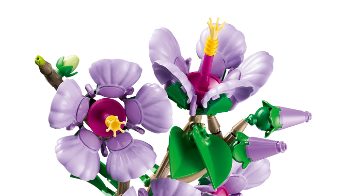 10372 Hibiscus