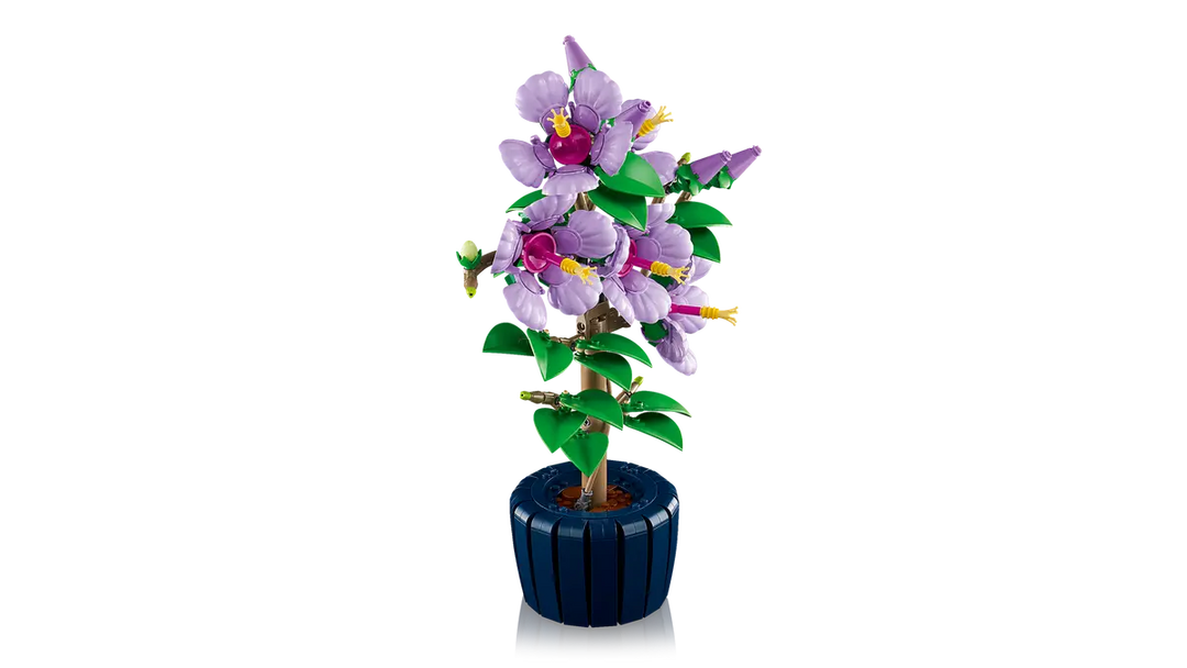 10372 Hibiscus