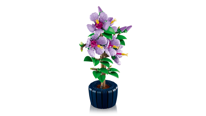 10372 Hibiscus