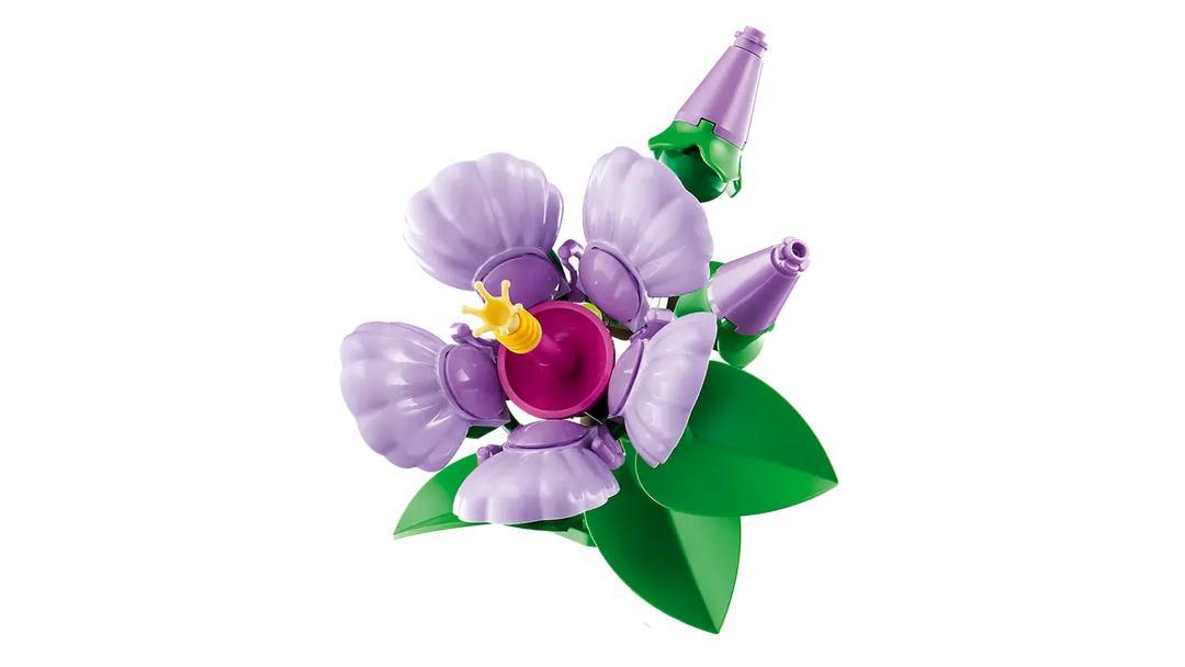 10372 Hibiscus
