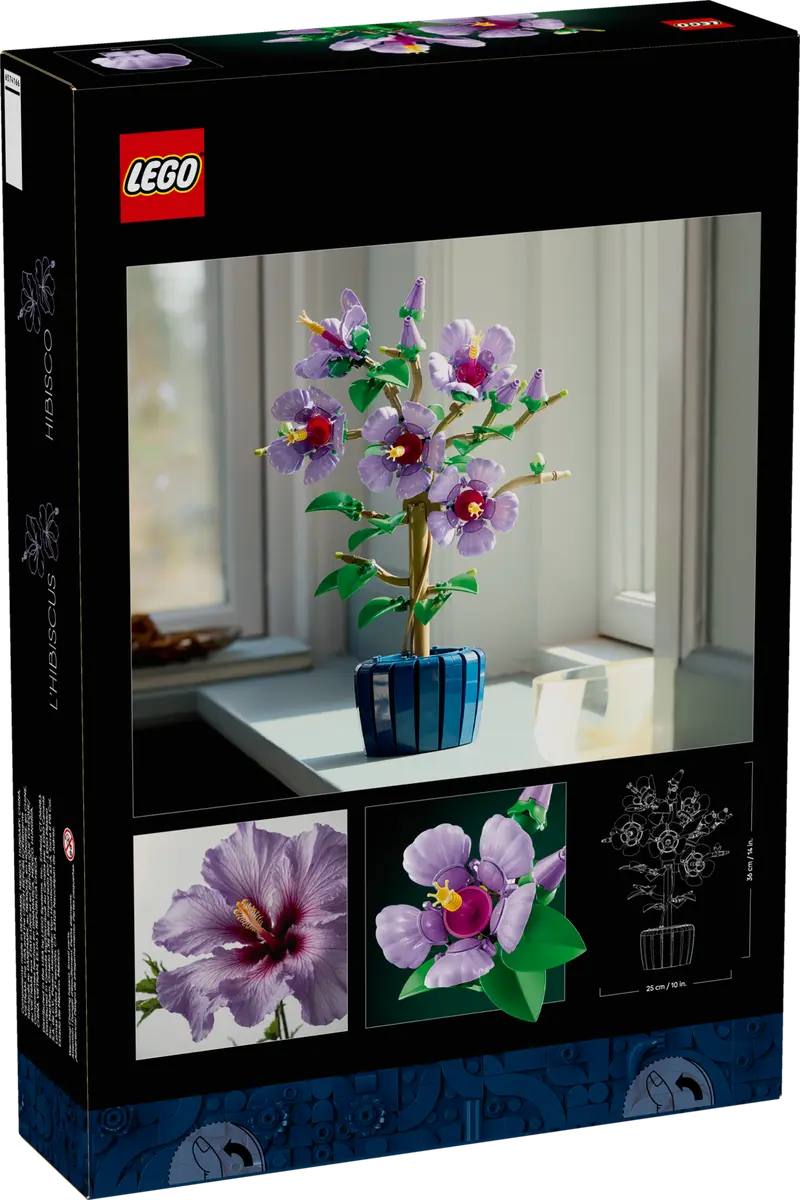 10372 Hibiscus