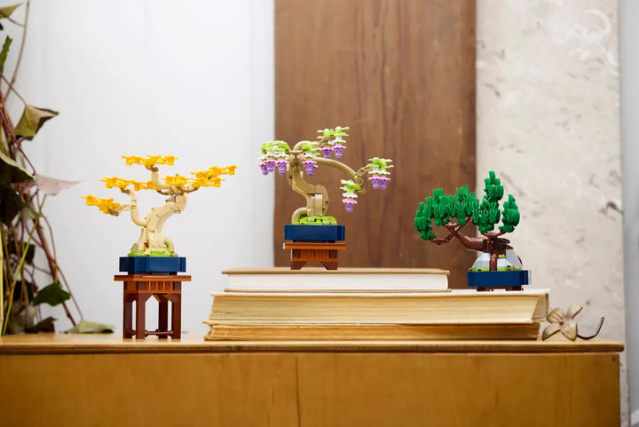 10373 Mini Bonsai Trees