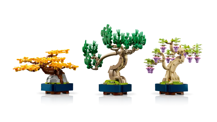 10373 Mini Bonsai Trees