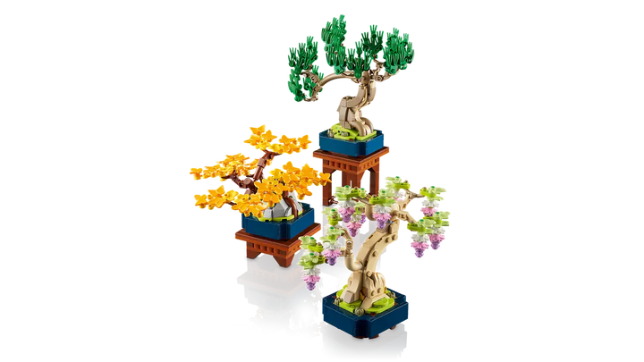 10373 Mini Bonsai Trees