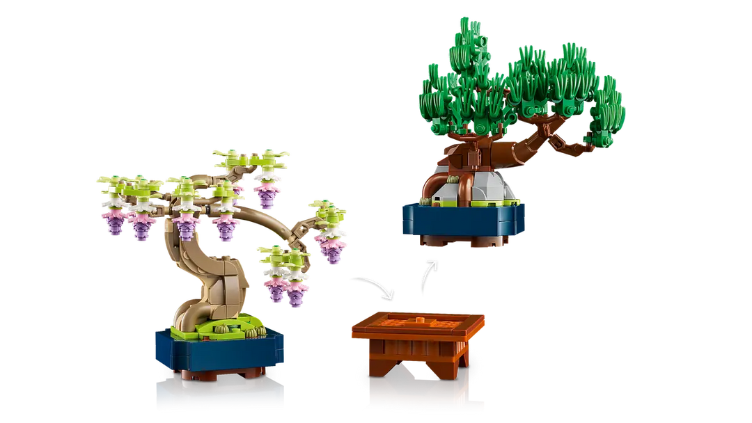 10373 Mini Bonsai Trees