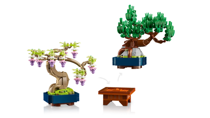 10373 Mini Bonsai Trees
