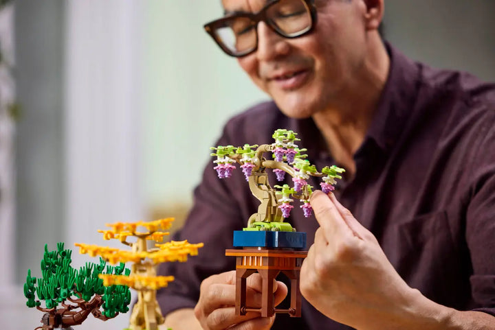 10373 Mini Bonsai Trees