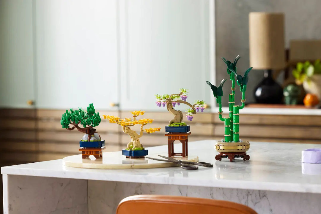 10373 Mini Bonsai Trees