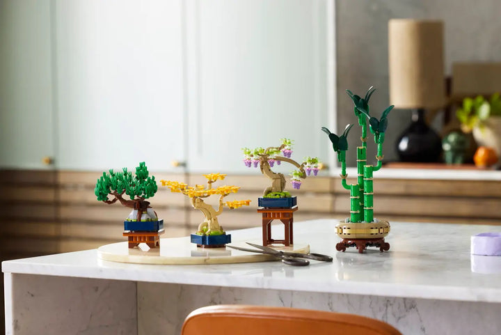 10373 Mini Bonsai Trees