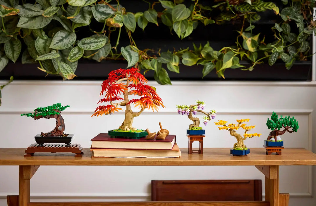 10373 Mini Bonsai Trees