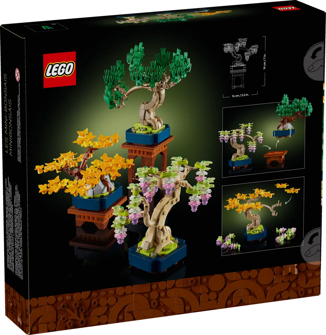 10373 Mini Bonsai Trees