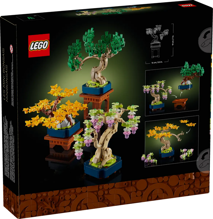 10373 Mini Bonsai Trees