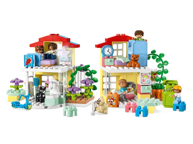 10994 3in1 Family House