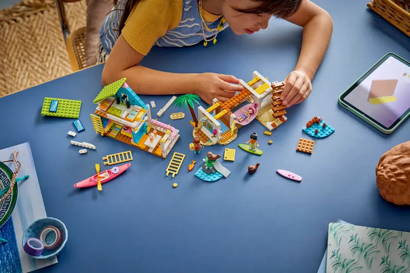 42699 Beach House with Seals