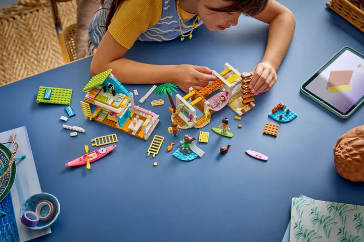 42699 Beach House with Seals