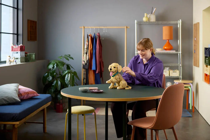 11384 Golden Retriever Puppy