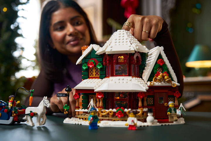11387 Holiday House
