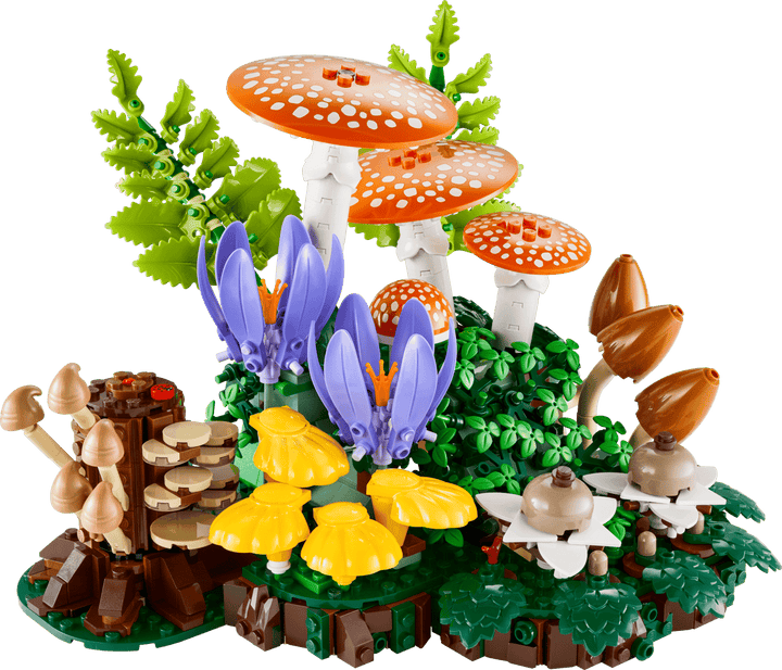 11505 Woodland Mushrooms