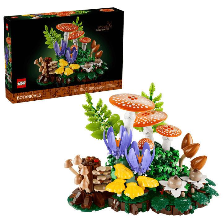 11505 Woodland Mushrooms