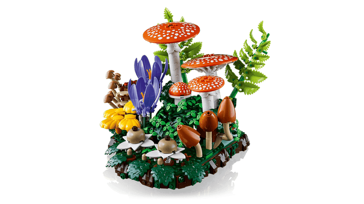11505 Woodland Mushrooms