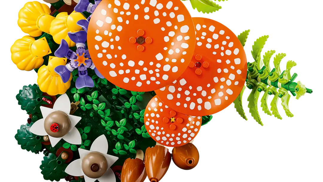 11505 Woodland Mushrooms
