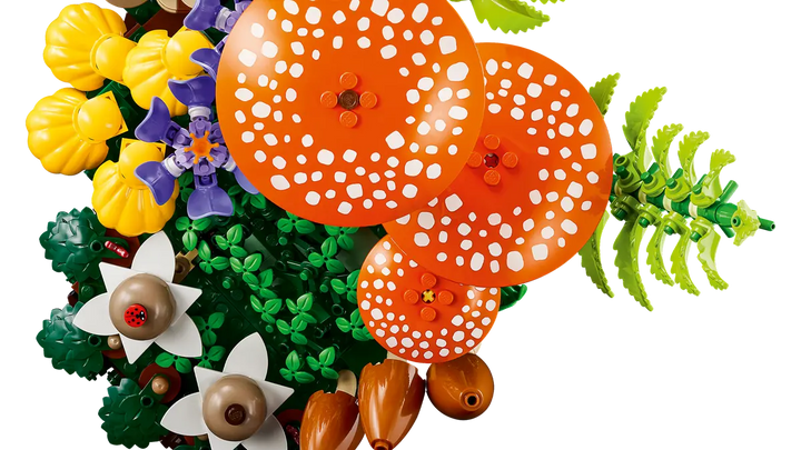 11505 Woodland Mushrooms