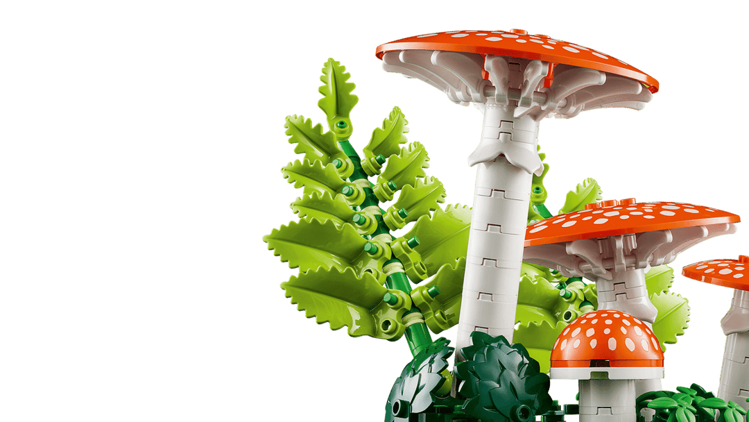 11505 Woodland Mushrooms