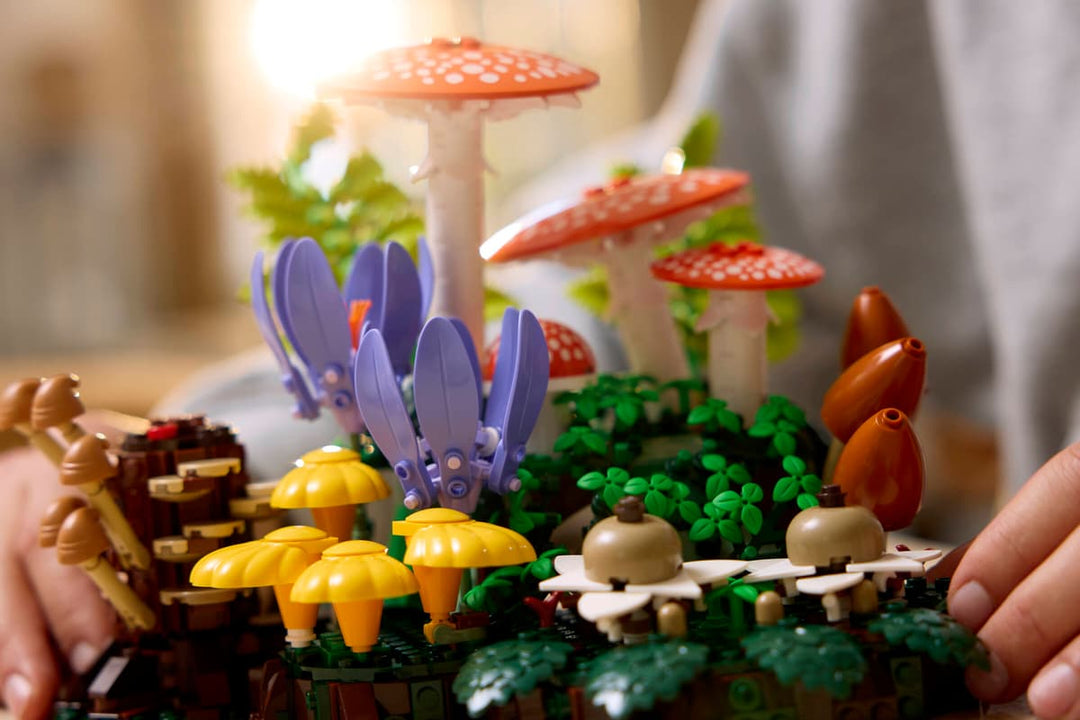 11505 Woodland Mushrooms
