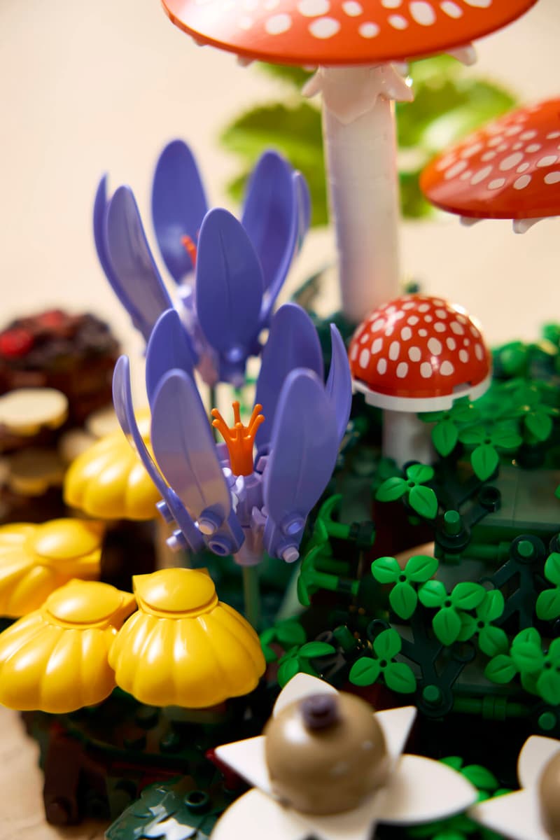 11505 Woodland Mushrooms