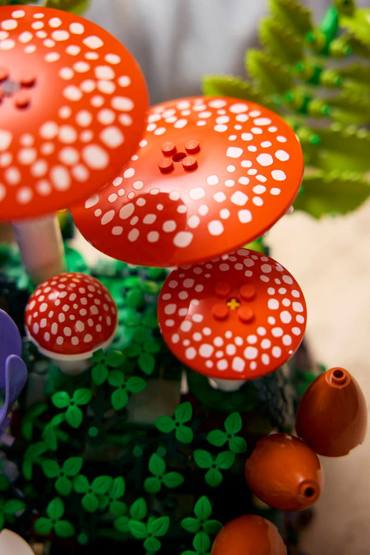 11505 Woodland Mushrooms