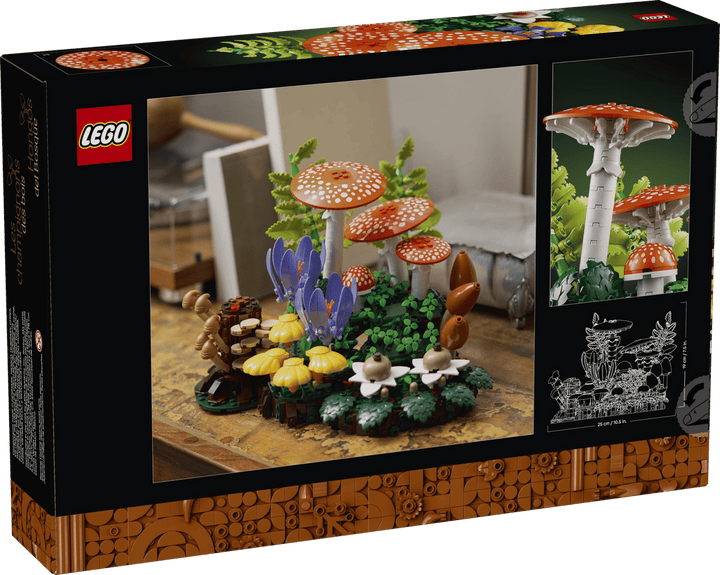 11505 Woodland Mushrooms