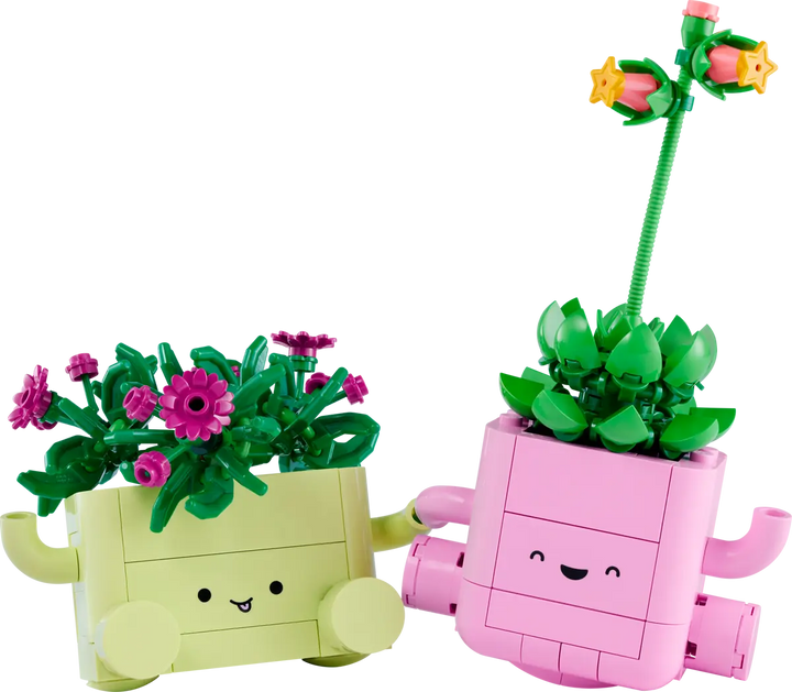 11506 Rocking Plants