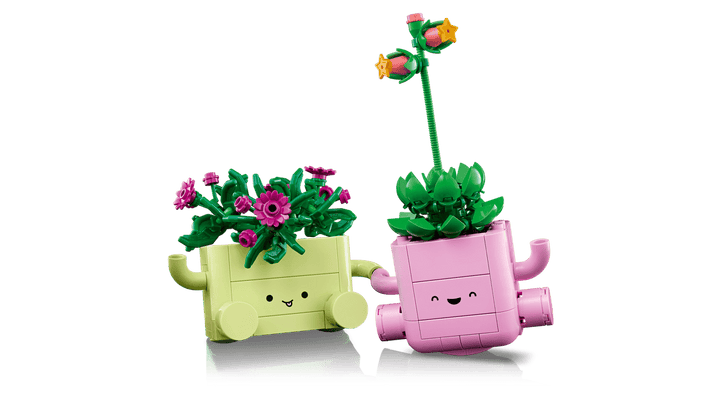 11506 Rocking Plants
