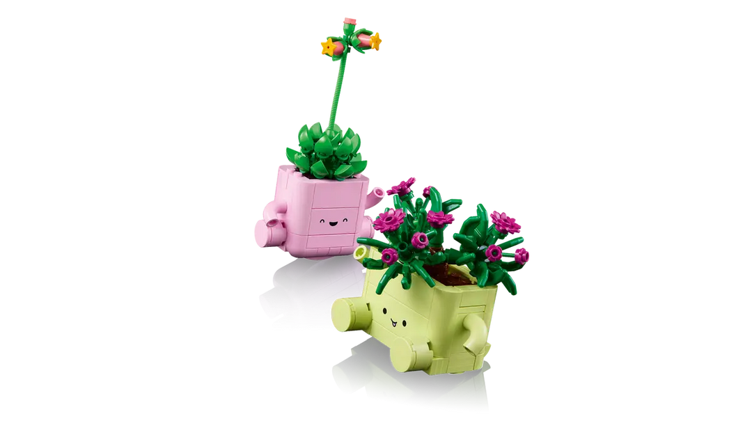 11506 Rocking Plants