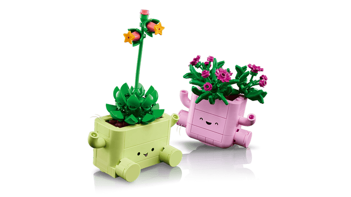 11506 Rocking Plants