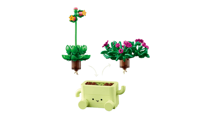 11506 Rocking Plants