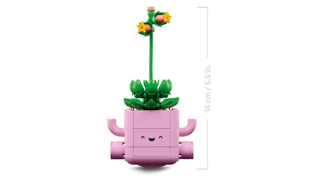 11506 Rocking Plants