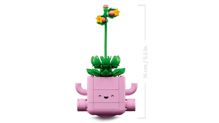 11506 Rocking Plants