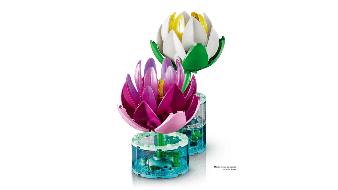 11511 Water Lilies