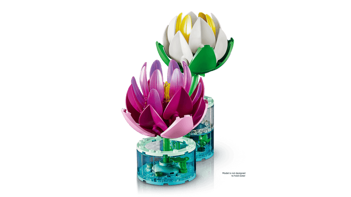 11511 Water Lilies