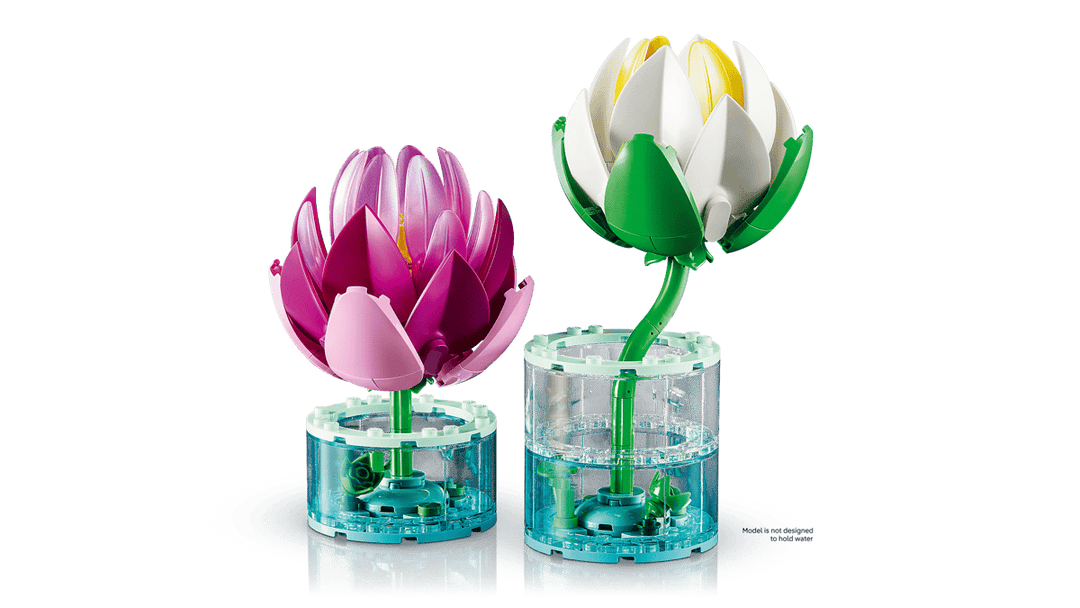 11511 Water Lilies