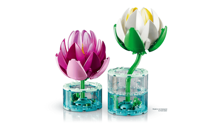 11511 Water Lilies