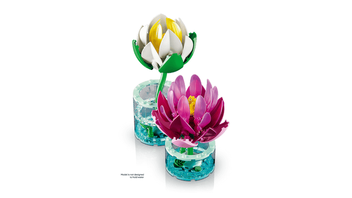 11511 Water Lilies