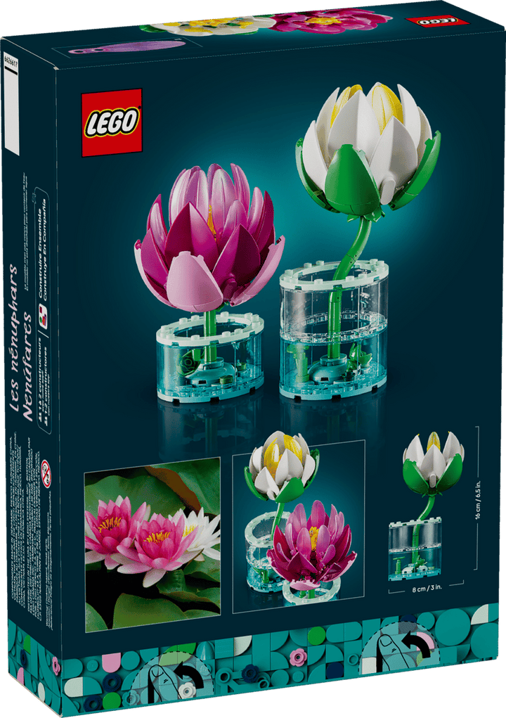11511 Water Lilies