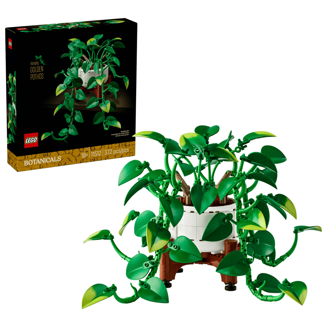 11512 Hanging Golden Pothos